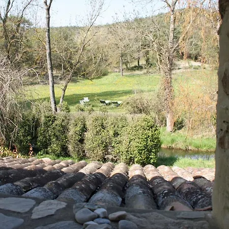 Touroulet *