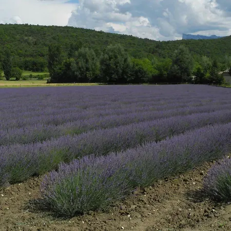 Touroulet Suze
